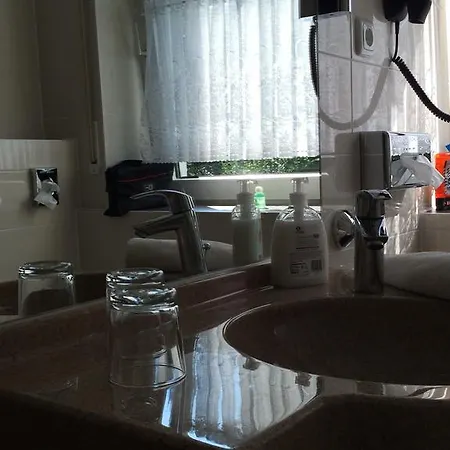 Hotel-restaurant Walkmuehle Hotel Usingen