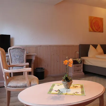 Hotel-restaurant Walkmühle Hotel Usingen