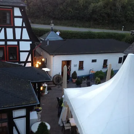 Hotel Hotel-restaurant Walkmuehle Usingen