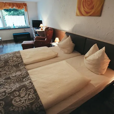 Hotel-restaurant Walkmuehle Hotel Usingen