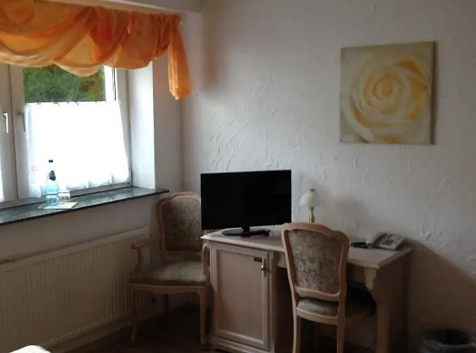 Hotel-restaurant Walkmuehle * Usingen