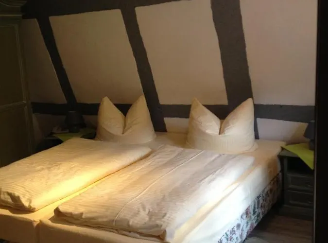 Hotel-restaurant Walkmuehle Hotel Usingen