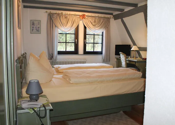 Hotel-restaurant Walkmuehle Hotel Usingen