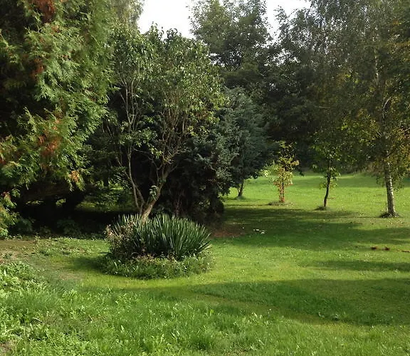 Hotel-restaurant Walkmuehle Usingen