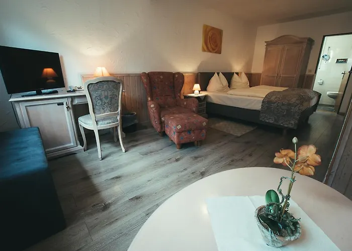 Hotel-restaurant Walkmuehle Hotel Usingen